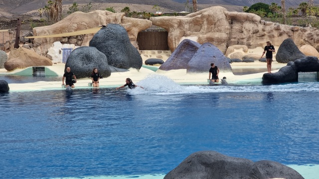 ../images/fotoalbum/lanzarote22/2022-06-24 11.39.02